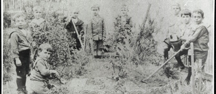 Boy students in school garden.